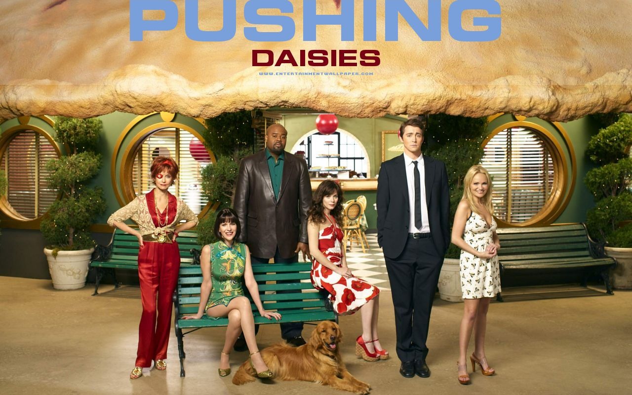 Pushing Daisies fond d'écran #10 - 1280x800