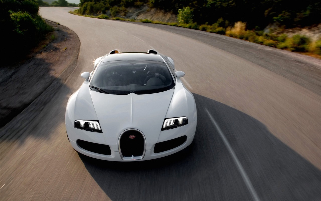 Bugatti Veyron обои Альбом (4) #4 - 1280x800
