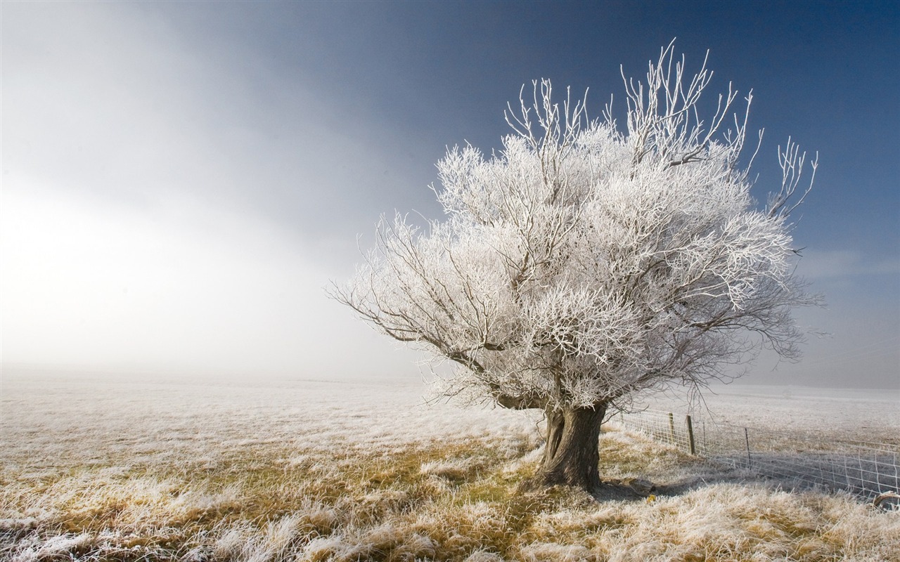 Nový Zéland je malebné krajině wallpaper #2 - 1280x800