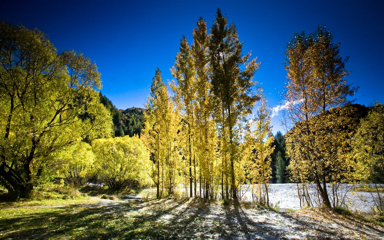 fondos de escritorio de un pintoresco paisaje de Nueva Zelanda #6 - 1280x800