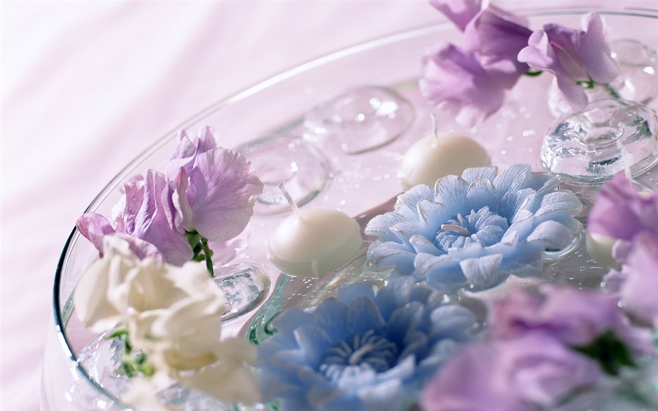 Flowers Widescreen Wallpaper #9 - 1280x800