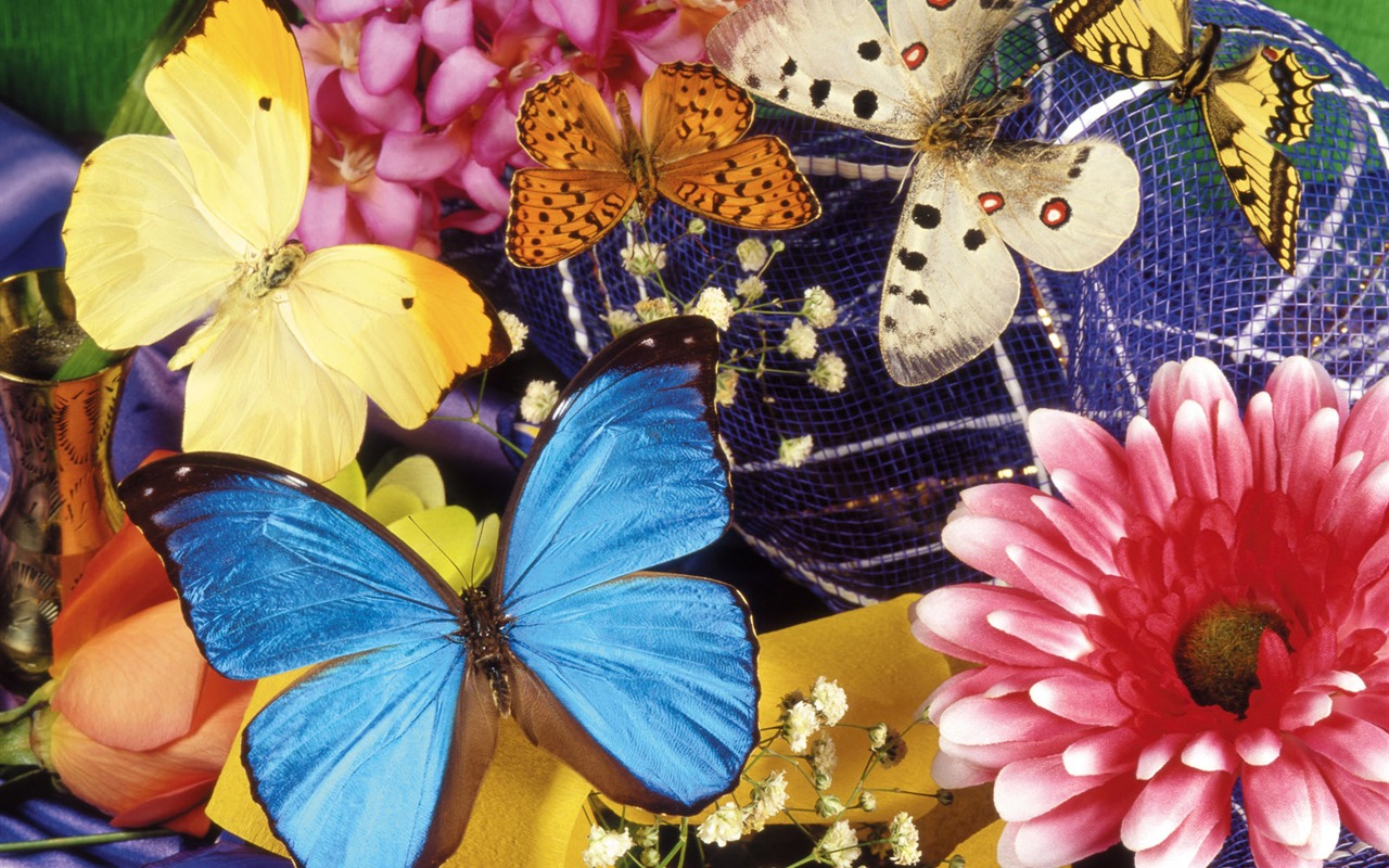 Butterflies and flowers wallpaper album (1) #20 - 1280x800
