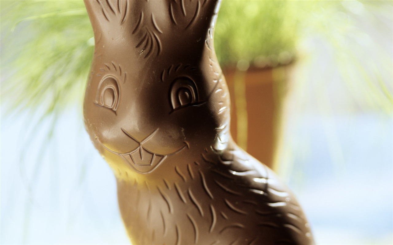 Easter Egg fond d'écran (1) #8 - 1280x800