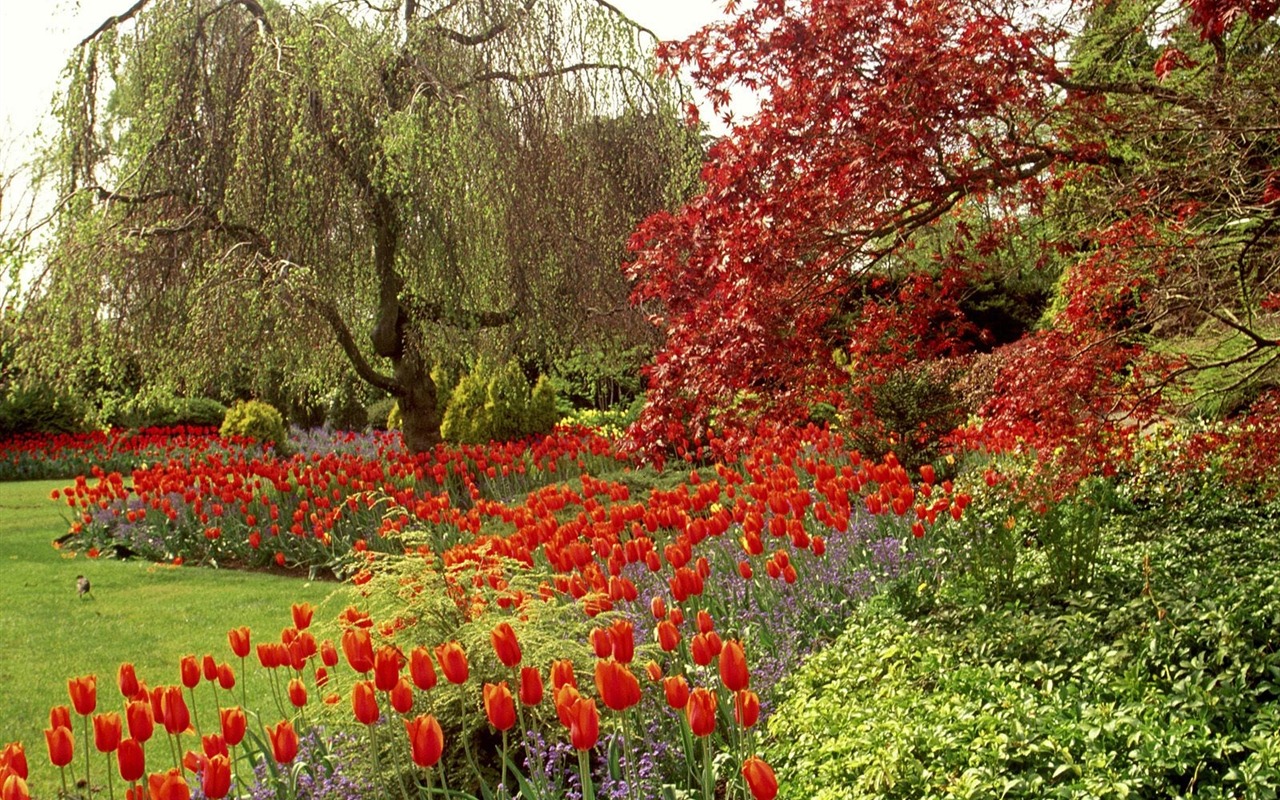 Fonds d'écran Art Garden #21 - 1280x800