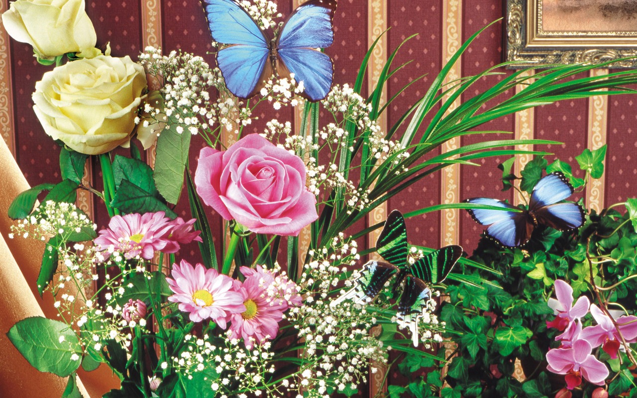Las mariposas y las flores fondos de escritorio de disco (2) #18 - 1280x800