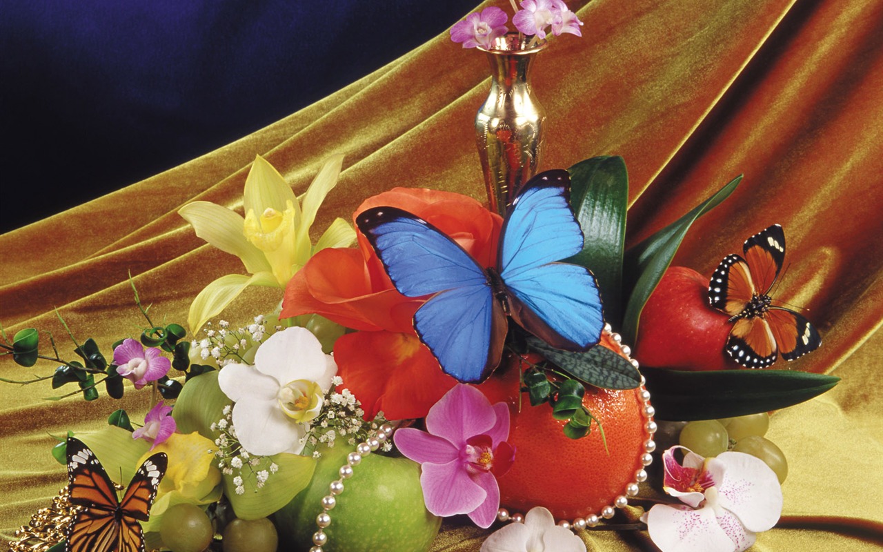 Schmetterlinge und Blumen Wallpaper Album (2) #19 - 1280x800