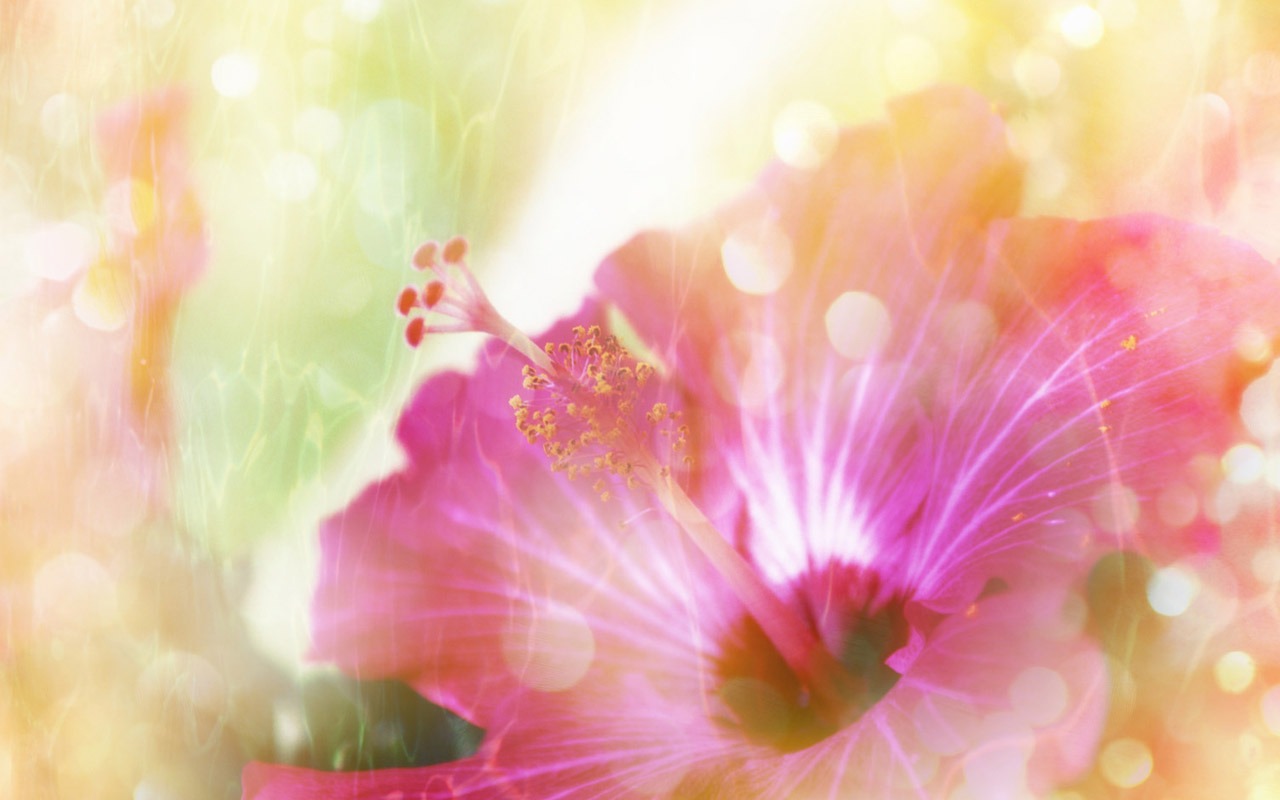 Fantasy CG Background Flower Wallpapers #18 - 1280x800