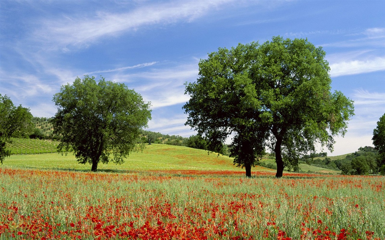 krásné přírodní scenérie Tapeta #1 - 1280x800