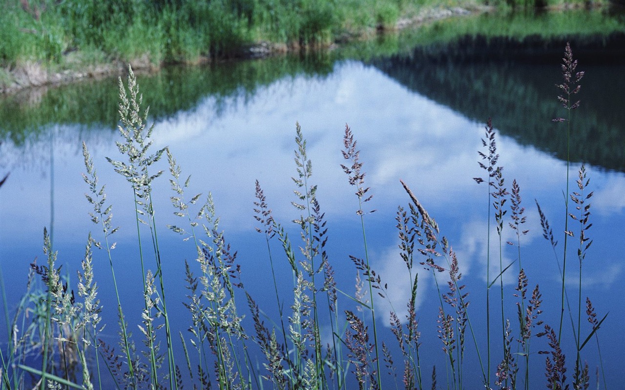 krásné přírodní scenérie Tapeta #8 - 1280x800