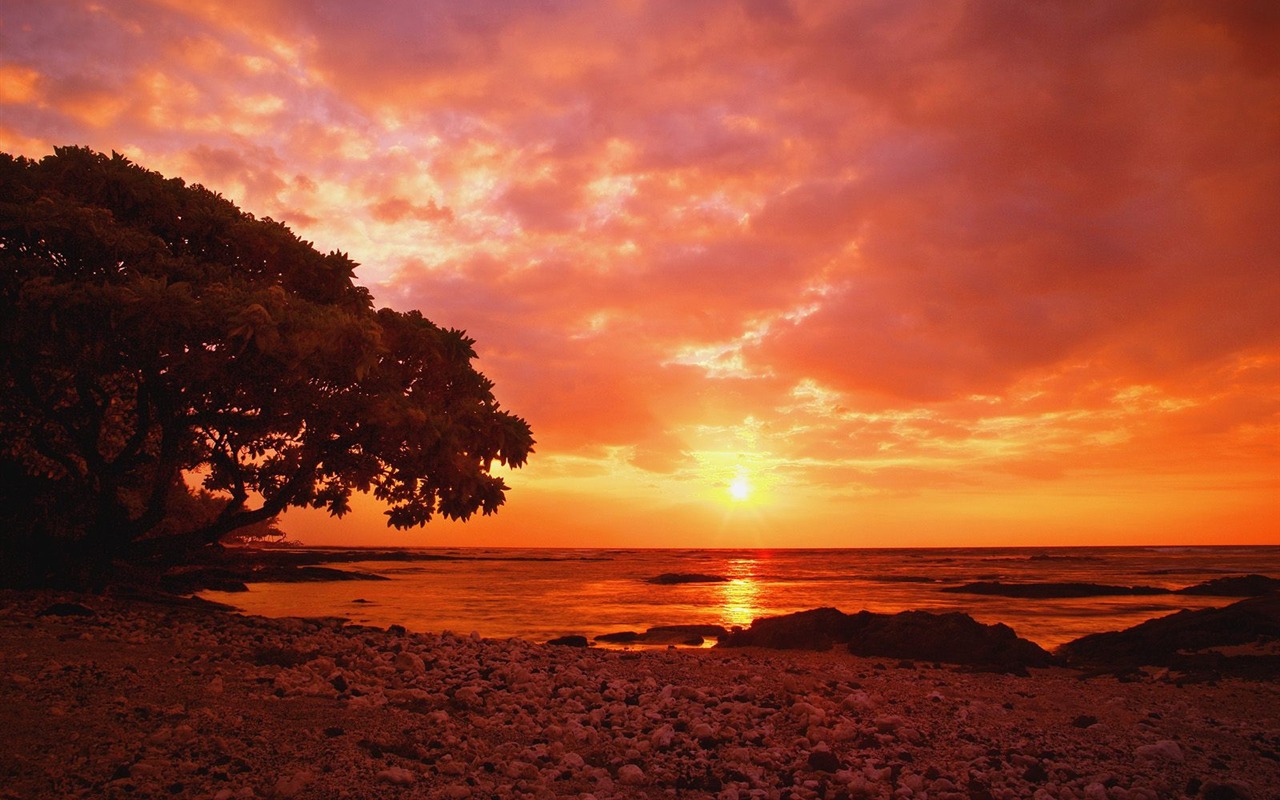 krásné přírodní scenérie Tapeta #9 - 1280x800