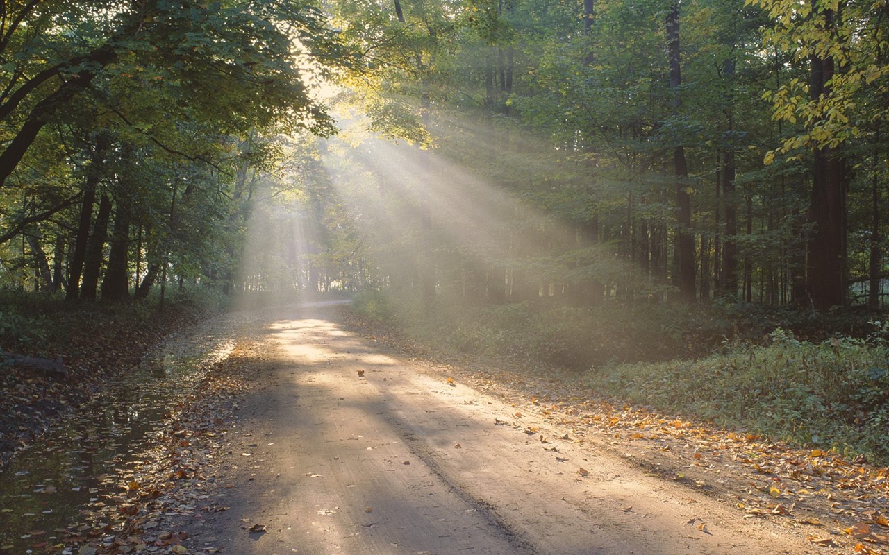 Un décor naturel magnifique Wallpaper #3 - 1280x800