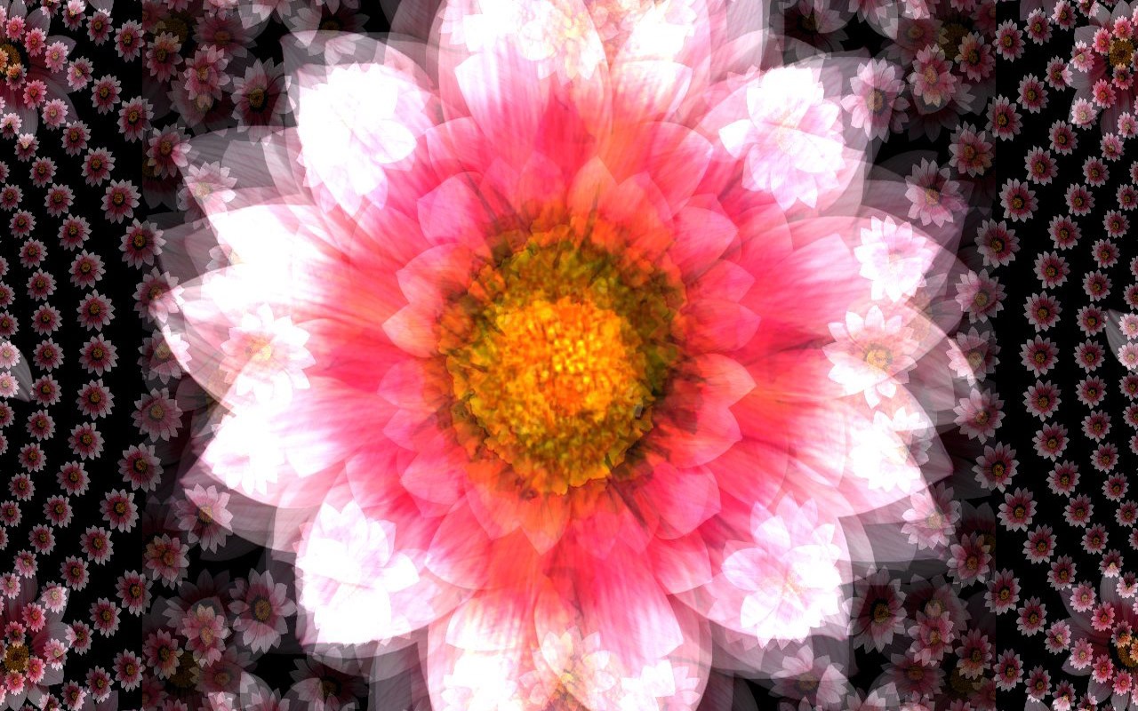 Dream цветочный дизайн обои (3) #11 - 1280x800