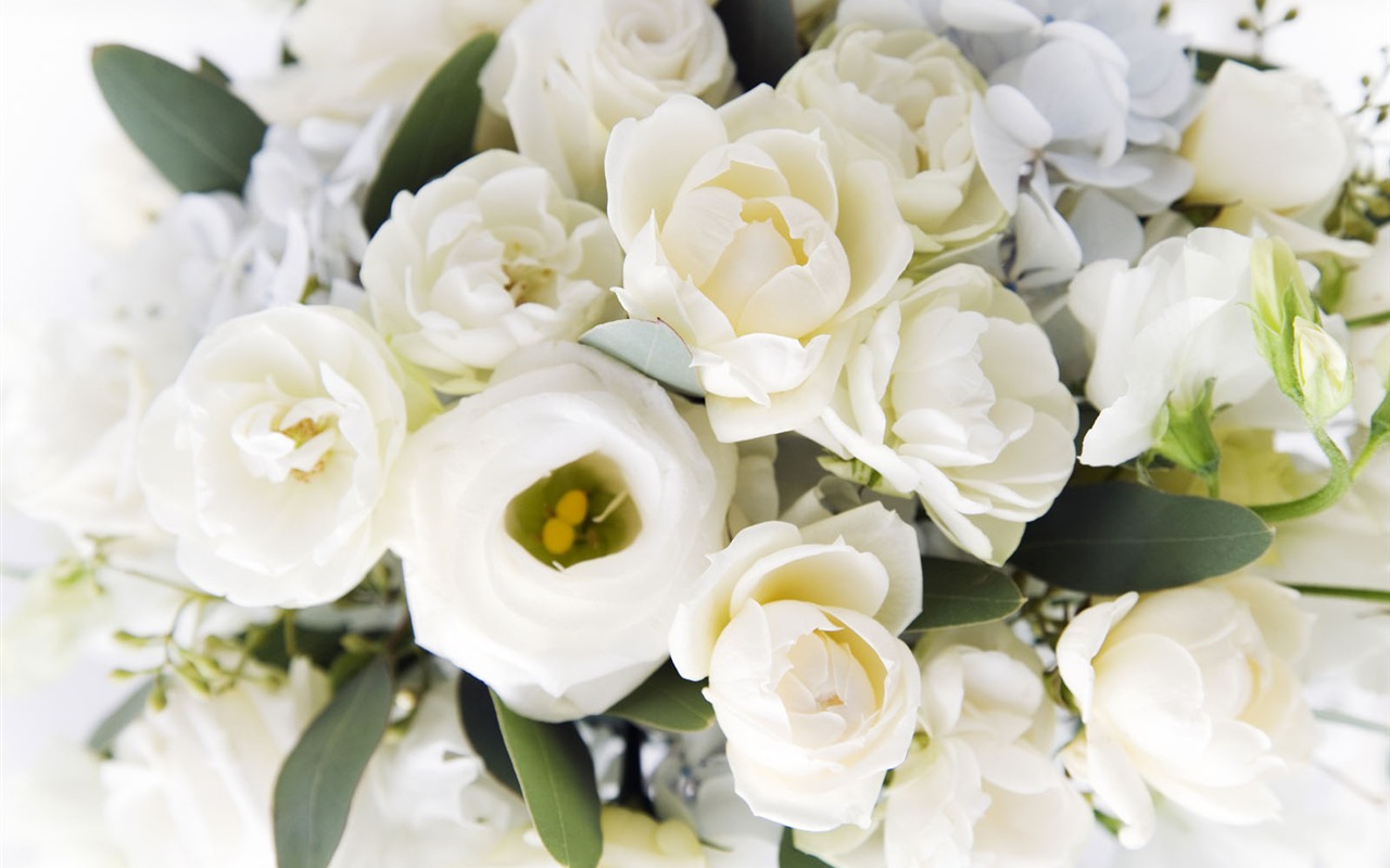 Свадебные цветы стола (3) #9 - 1280x800