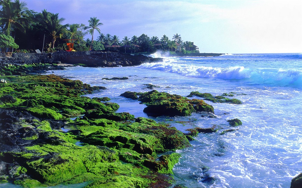 Beautiful scenery of Hawaii Wallpaper #7 - 1280x800