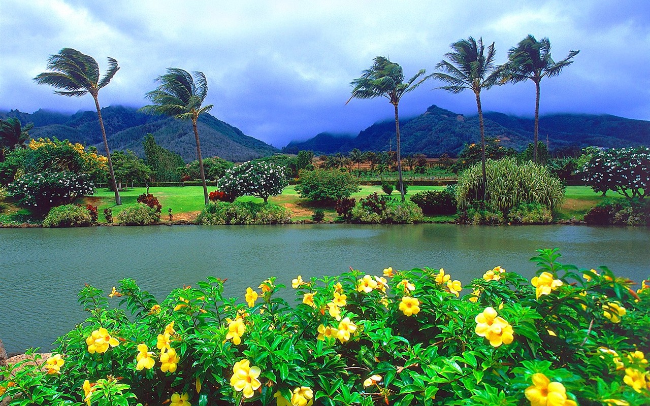 Beau paysage de Hawaii Fond d'écran #10 - 1280x800
