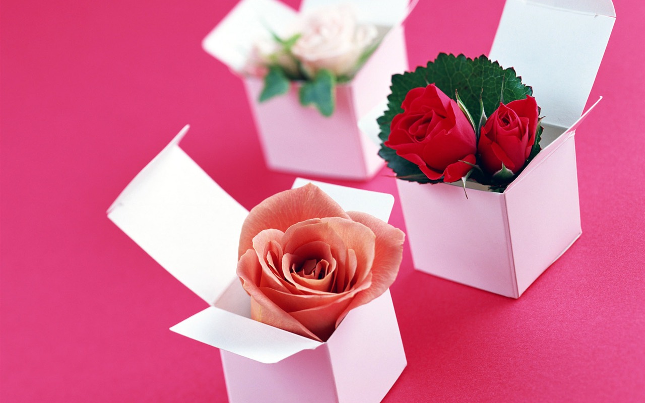 Flowers and gifts wallpaper (1) #1 - 1280x800