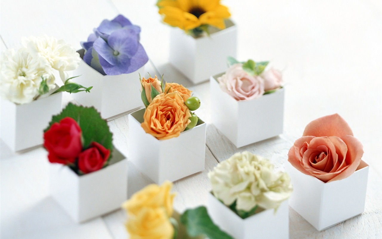 Flowers and gifts wallpaper (1) #2 - 1280x800