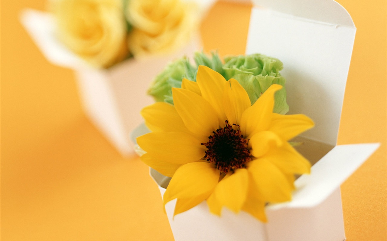 Flowers and gifts wallpaper (1) #5 - 1280x800