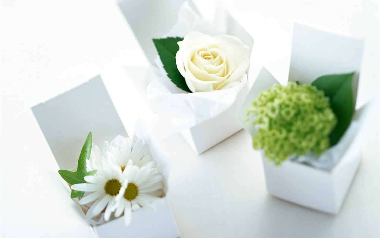 Flowers and gifts wallpaper (1) #16 - 1280x800