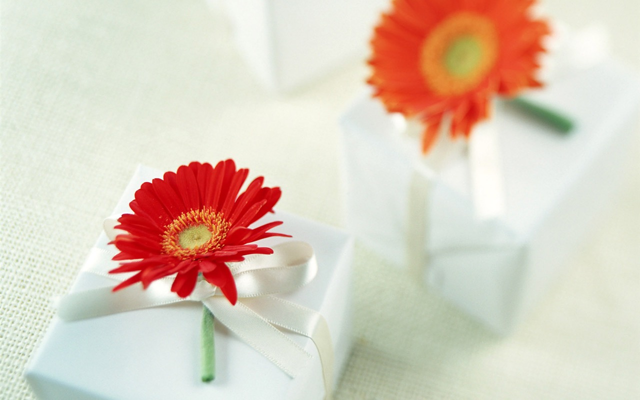 Flowers and gifts wallpaper (1) #18 - 1280x800