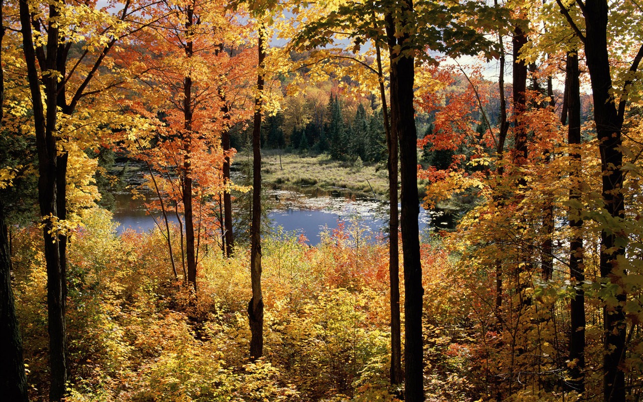 Wallpaper paisaje canadiense HD (2) #15 - 1280x800
