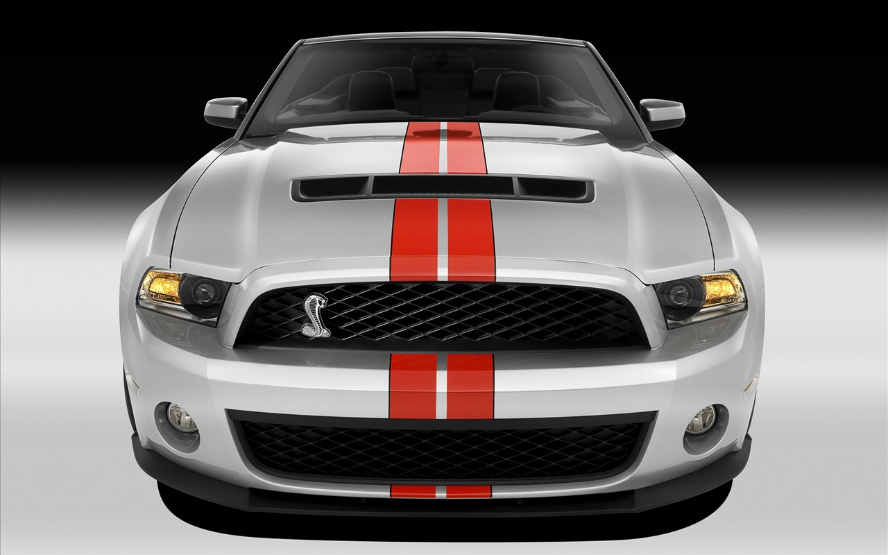 Ford Mustang GT500 Wallpapers #3 - 1280x800