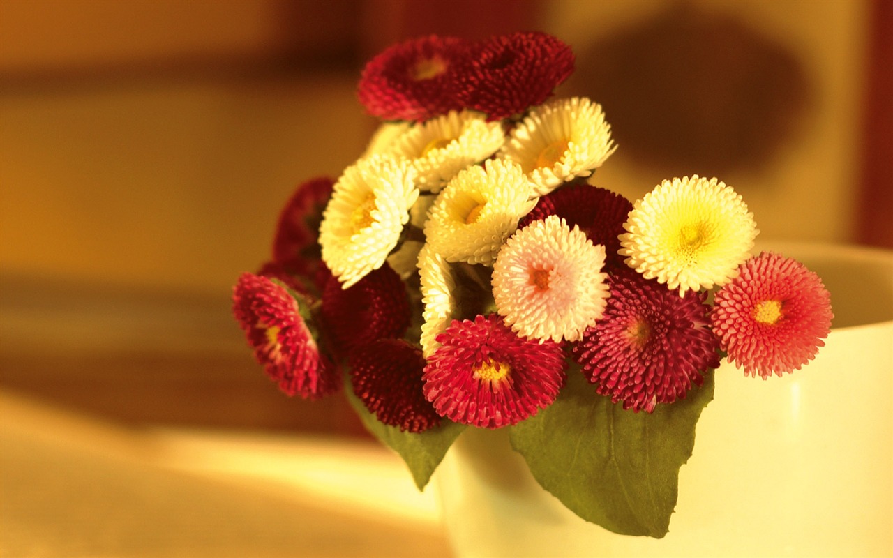 Widescreen wallpaper flowers close-up (3) #19 - 1280x800