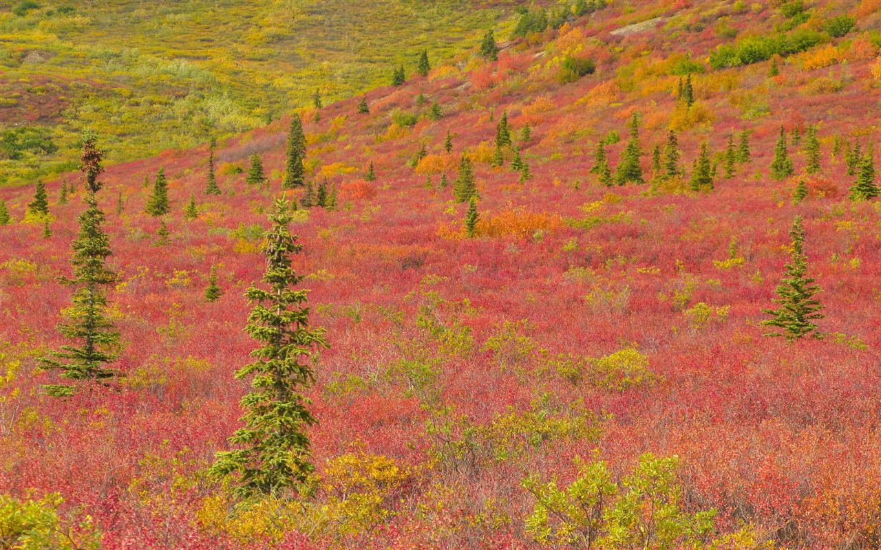 Fondos de escritorio de paisajes de Alaska (2) #2 - 1280x800