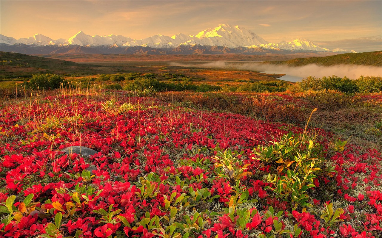 Fondos de escritorio de paisajes de Alaska (2) #6 - 1280x800