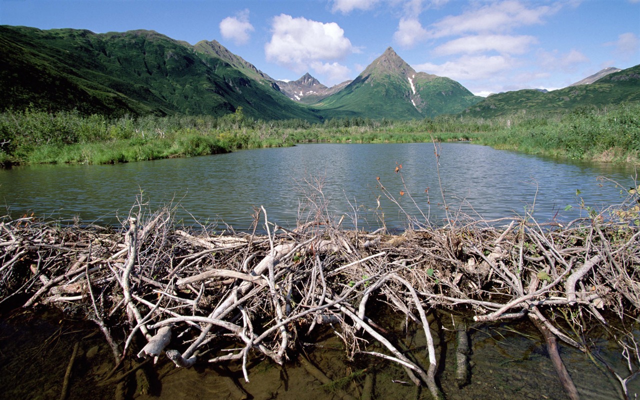 Fondos de escritorio de paisajes de Alaska (2) #9 - 1280x800