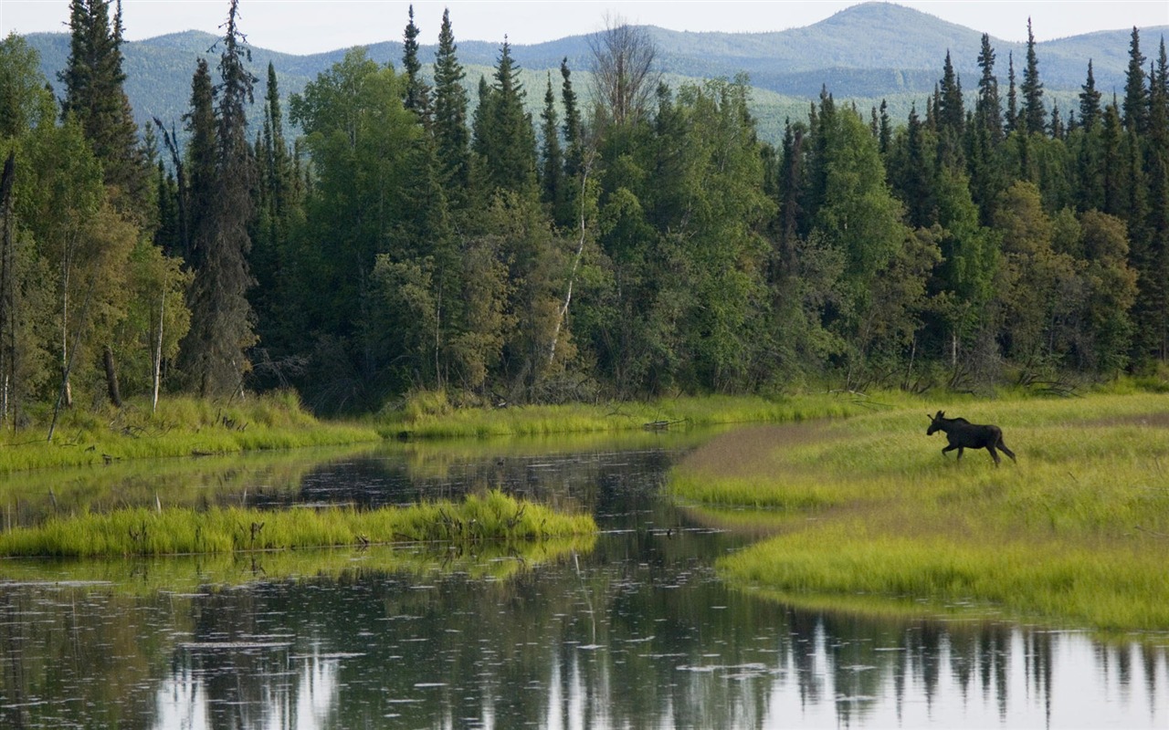 Fondos de escritorio de paisajes de Alaska (2) #14 - 1280x800