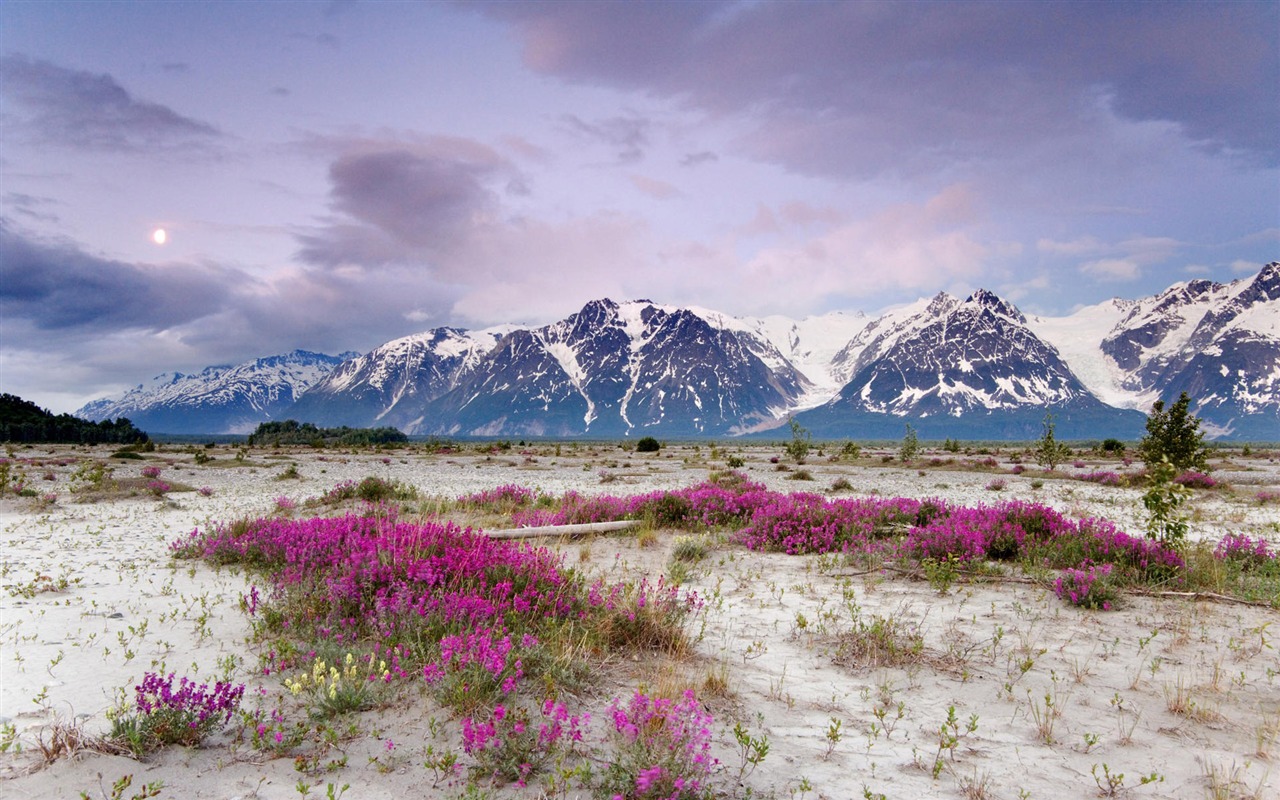 Fondos de escritorio de paisajes de Alaska (2) #18 - 1280x800
