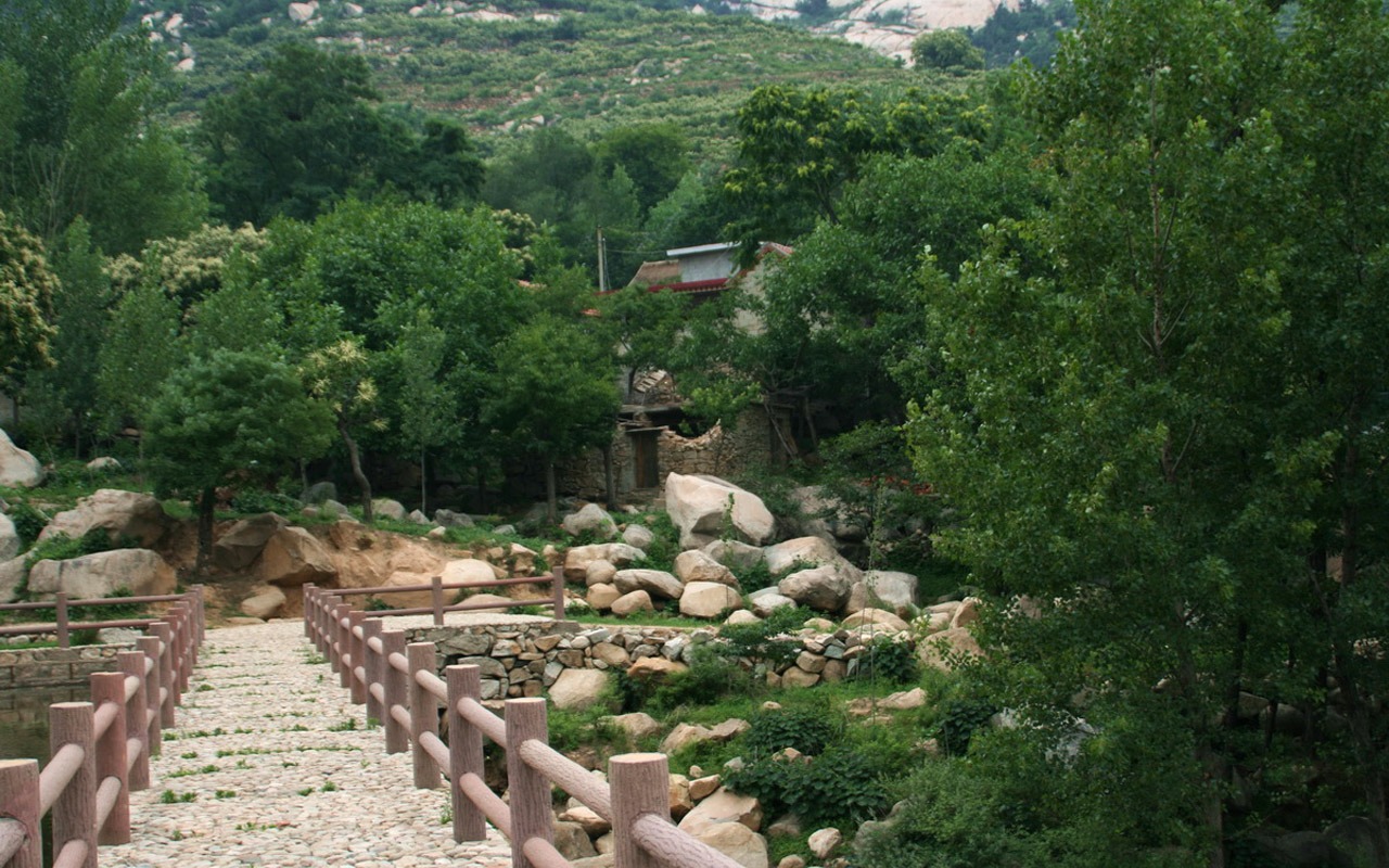 Lugar de nacimiento de montaña Song (Minghu obras Metasequoia) #6 - 1280x800