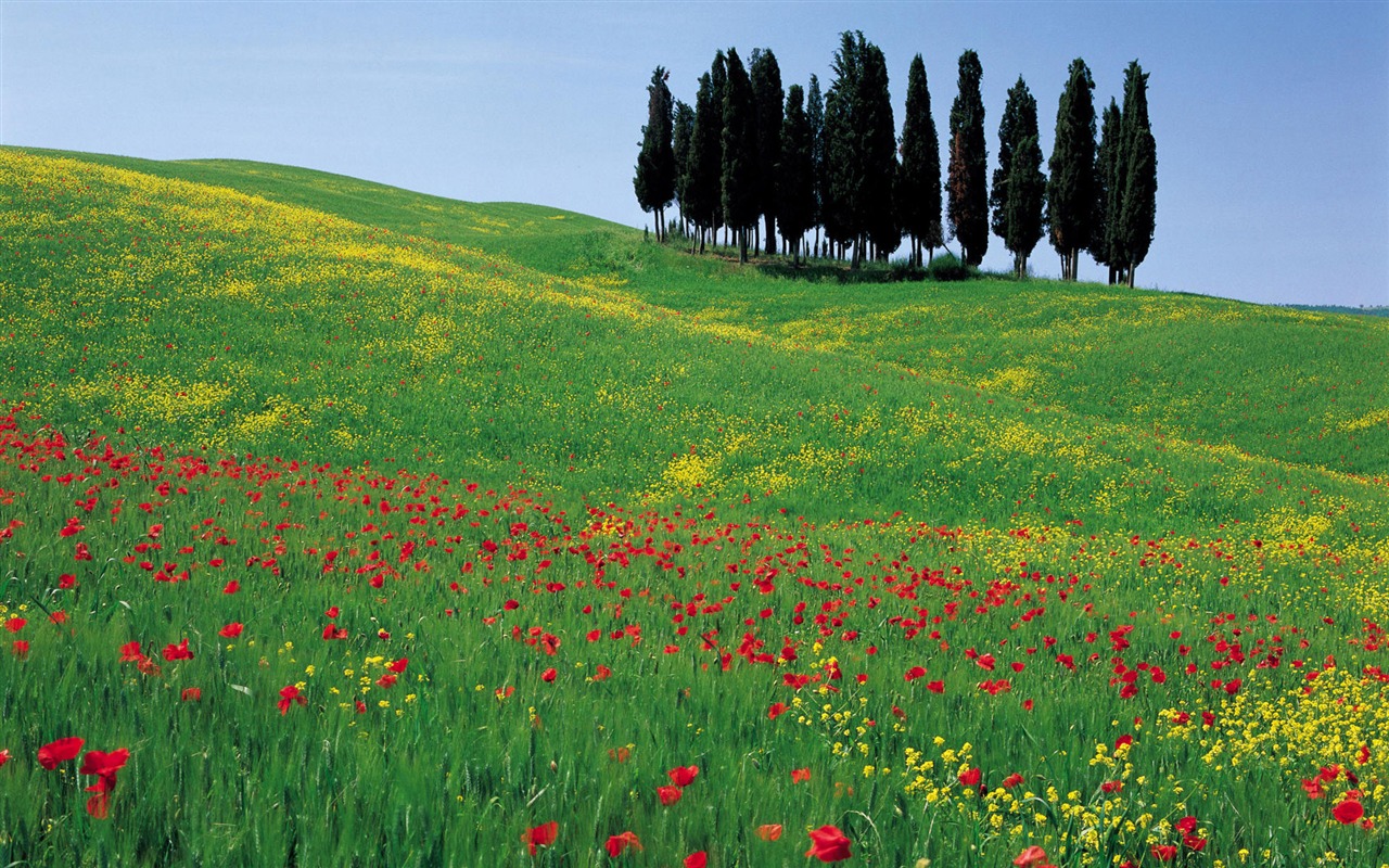 Italienische Landschaft Wallpaper (1) #19 - 1280x800