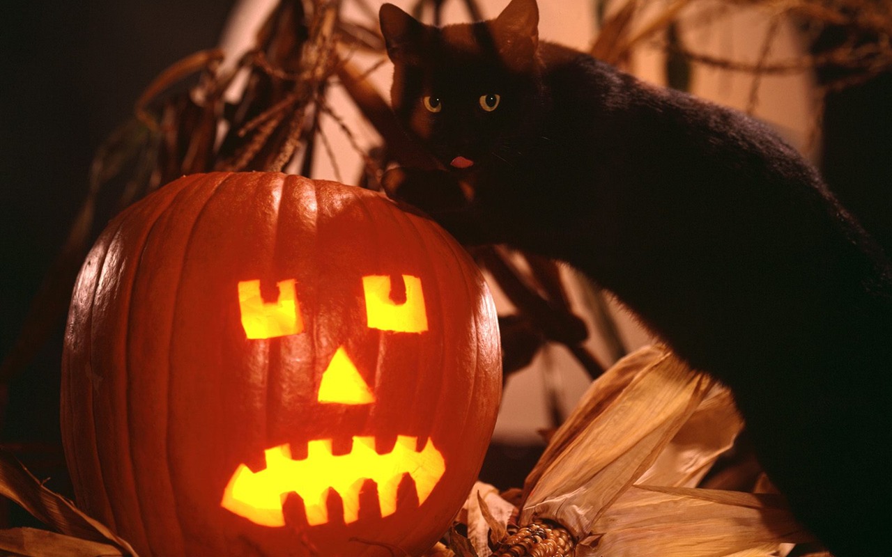 Fonds d'écran thème de l'Halloween (1) #2 - 1280x800