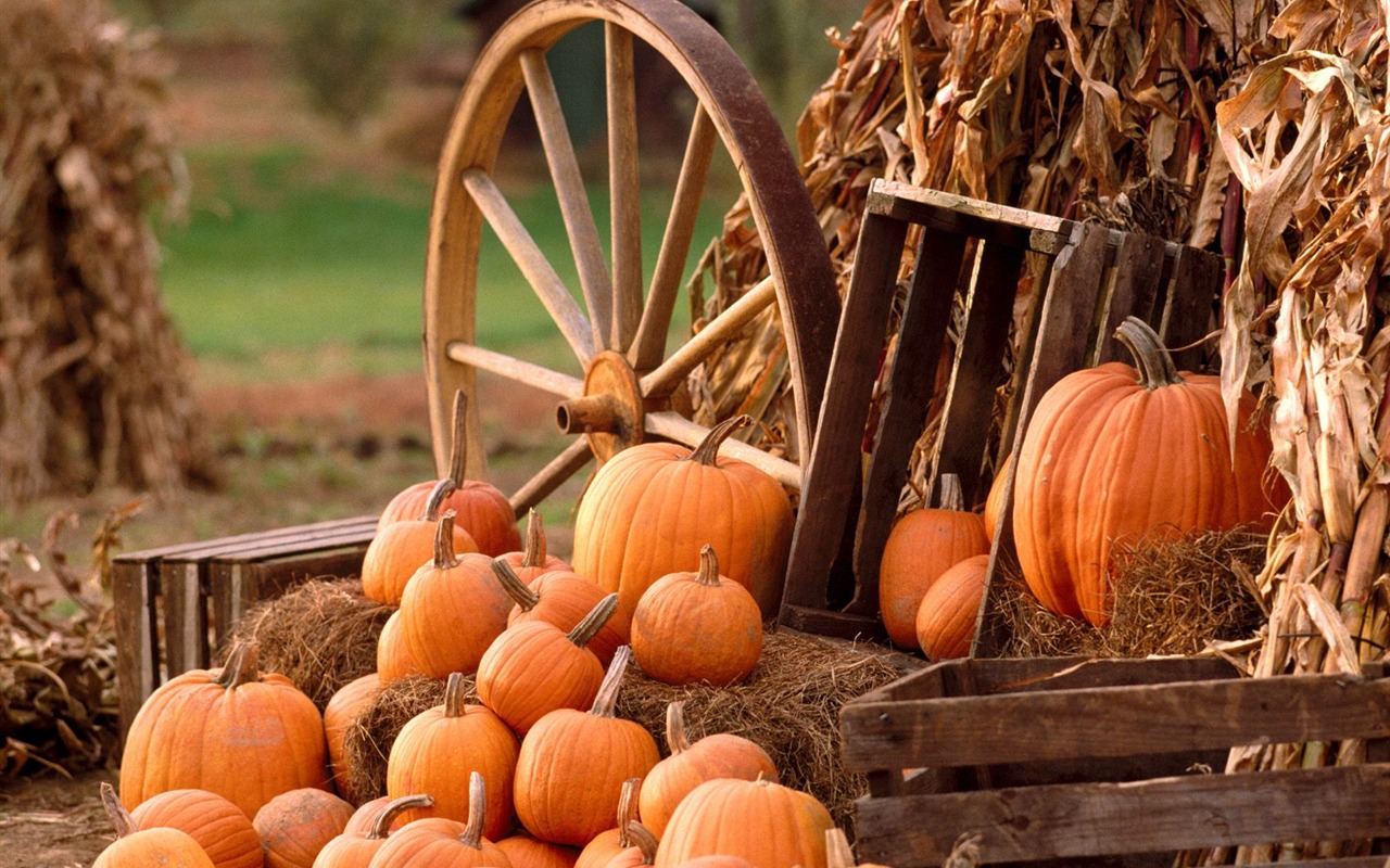 Fonds d'écran thème de l'Halloween (2) #7 - 1280x800