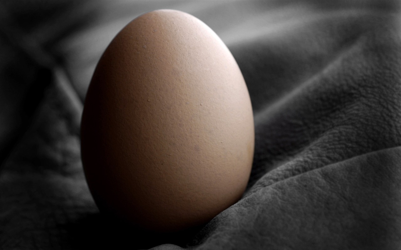 Яйцо пасхальное обои (4) #16 - 1280x800