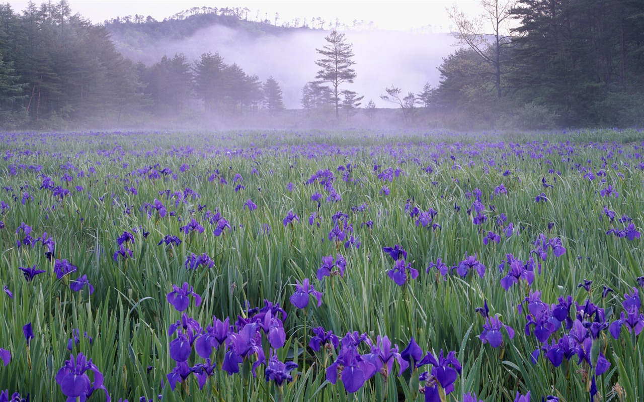 风光合集壁纸(七)12 - 1280x800