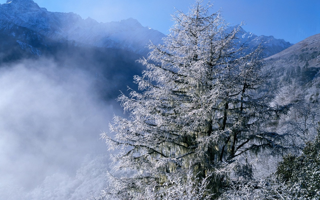 冬天雪景壁纸3 - 1280x800