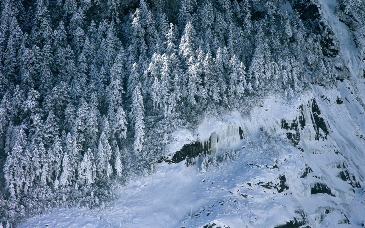 冬天雪景壁纸5 - 1280x800