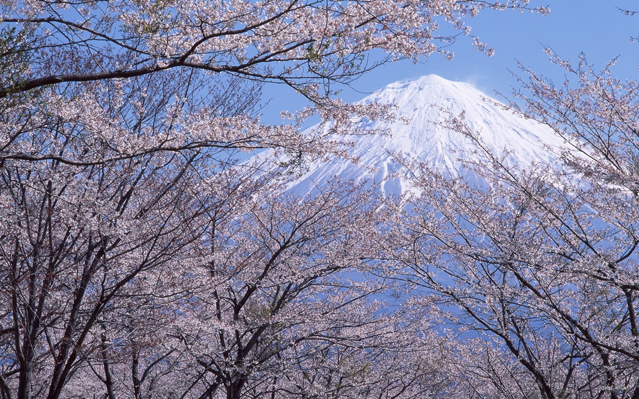 Гора Фудзи, Япония обои (2) #9 - 1280x800