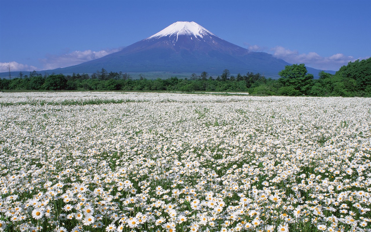 Гора Фудзи, Япония обои (2) #15 - 1280x800