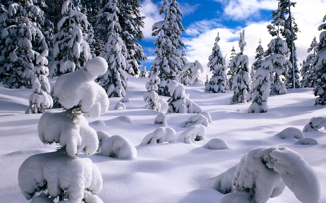 Invierno Nieve fondo de pantalla (2) #3 - 1280x800