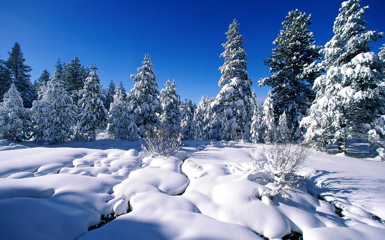 Invierno Nieve fondo de pantalla (2) #4 - 1280x800