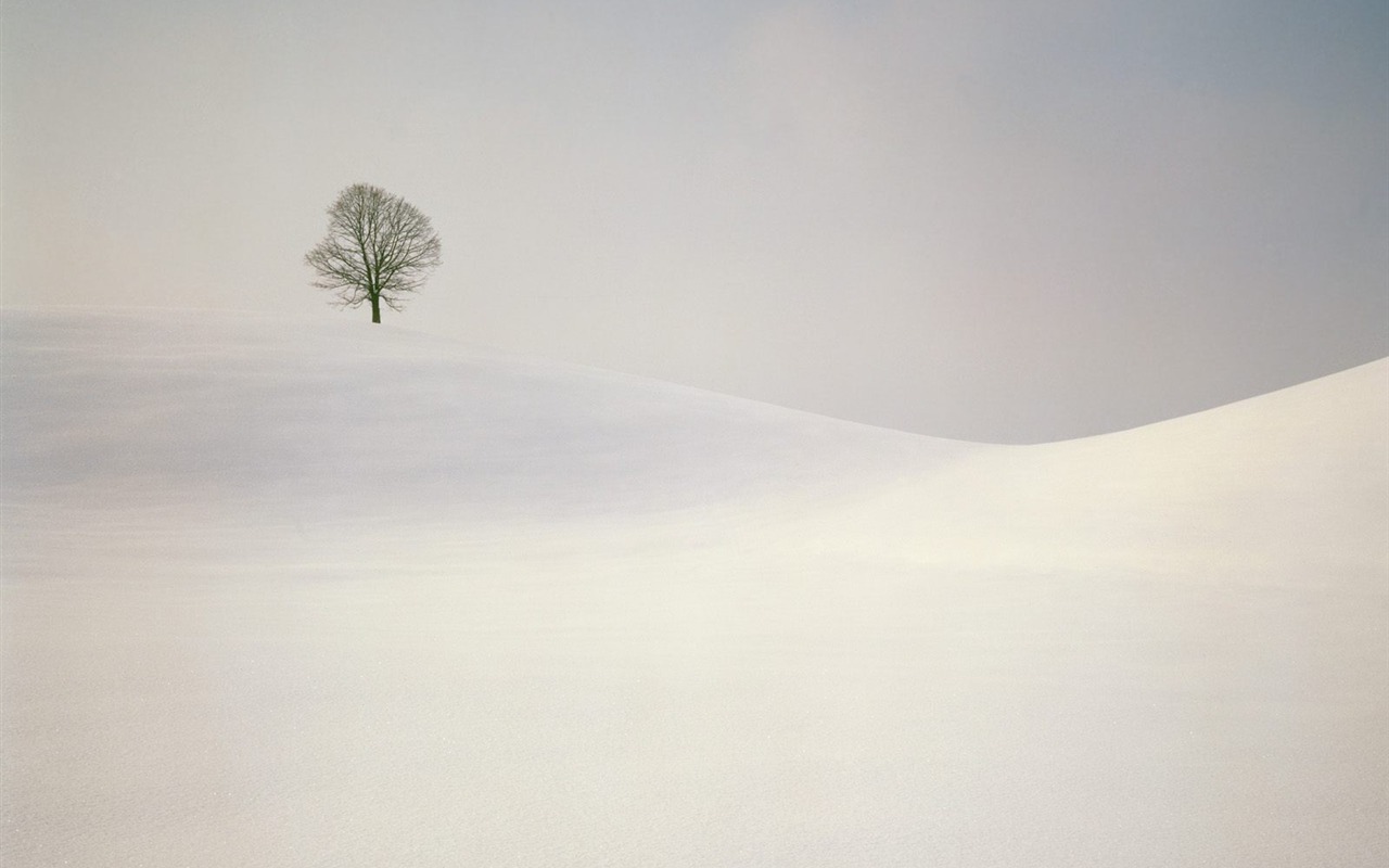 Invierno Nieve fondo de pantalla (2) #17 - 1280x800