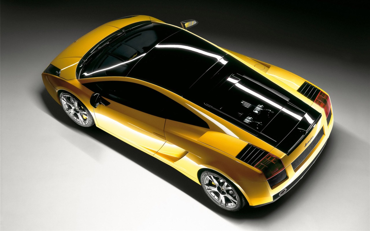 Enfriar coches Lamborghini Wallpaper (2) #1 - 1280x800