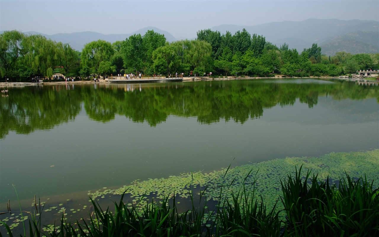 Xiangshan jardín principios del verano (obras barras de refuerzo) #12 - 1280x800
