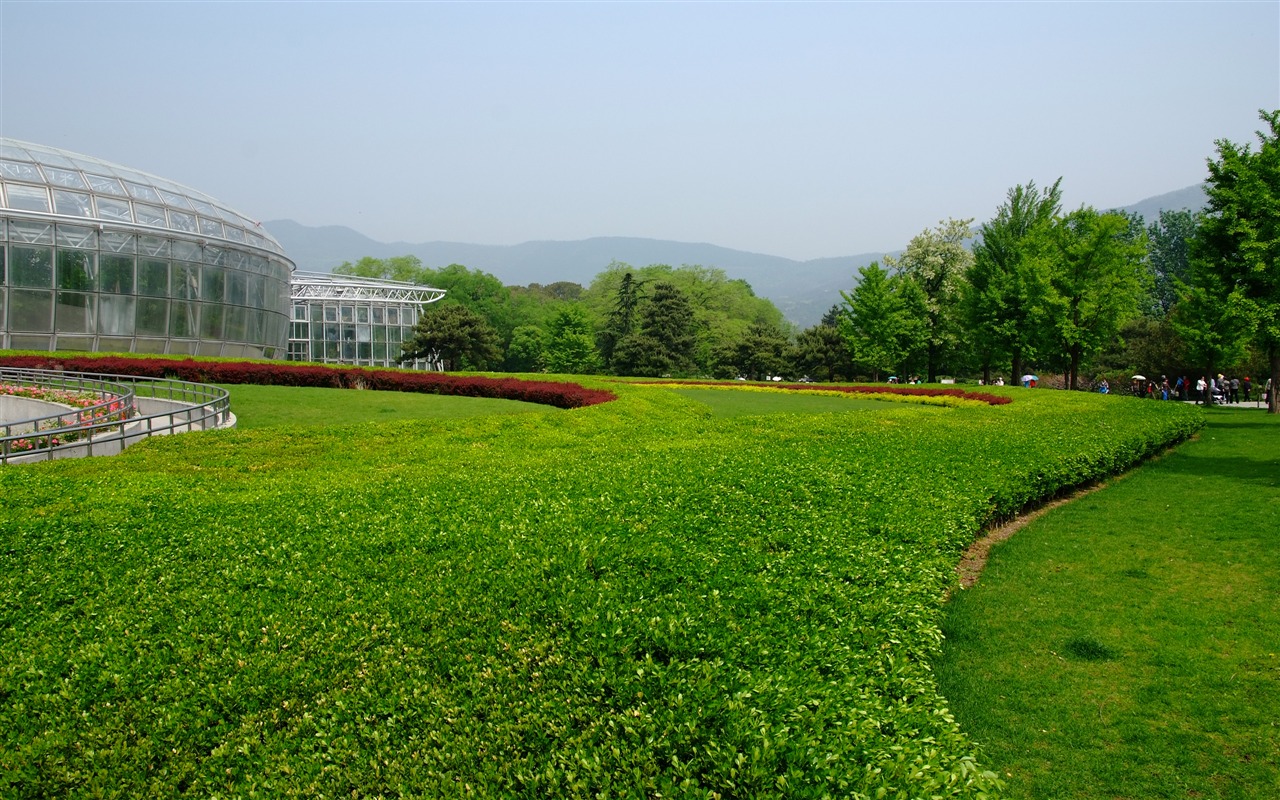 Xiangshan jardín principios del verano (obras barras de refuerzo) #24 - 1280x800