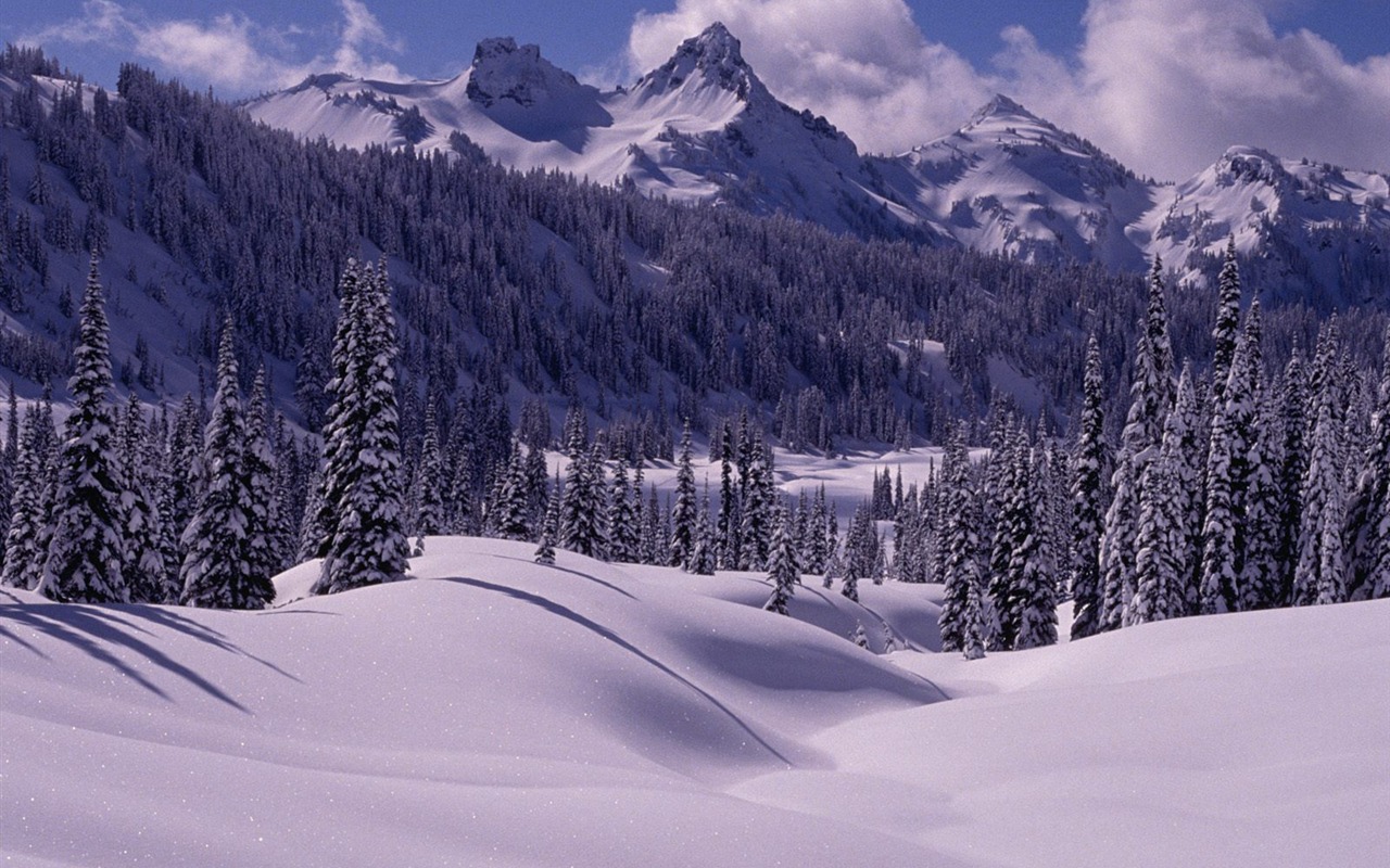 Invierno Nieve fondo de pantalla (3) #5 - 1280x800