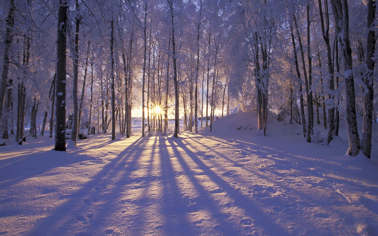 冬天雪景壁纸(三)9 - 1280x800